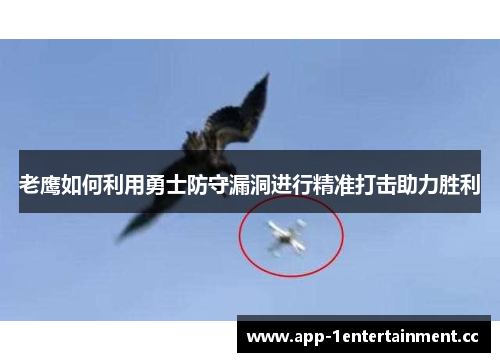 老鹰如何利用勇士防守漏洞进行精准打击助力胜利