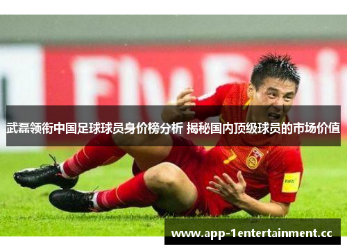 武磊领衔中国足球球员身价榜分析 揭秘国内顶级球员的市场价值