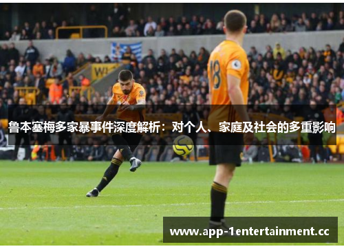 鲁本塞梅多家暴事件深度解析：对个人、家庭及社会的多重影响